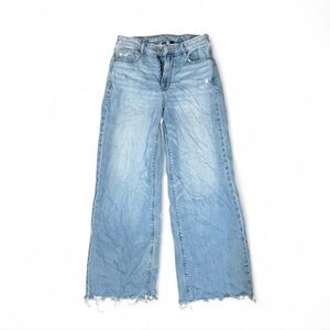 American Eagle Outfitters Light Blue Flare Jeans